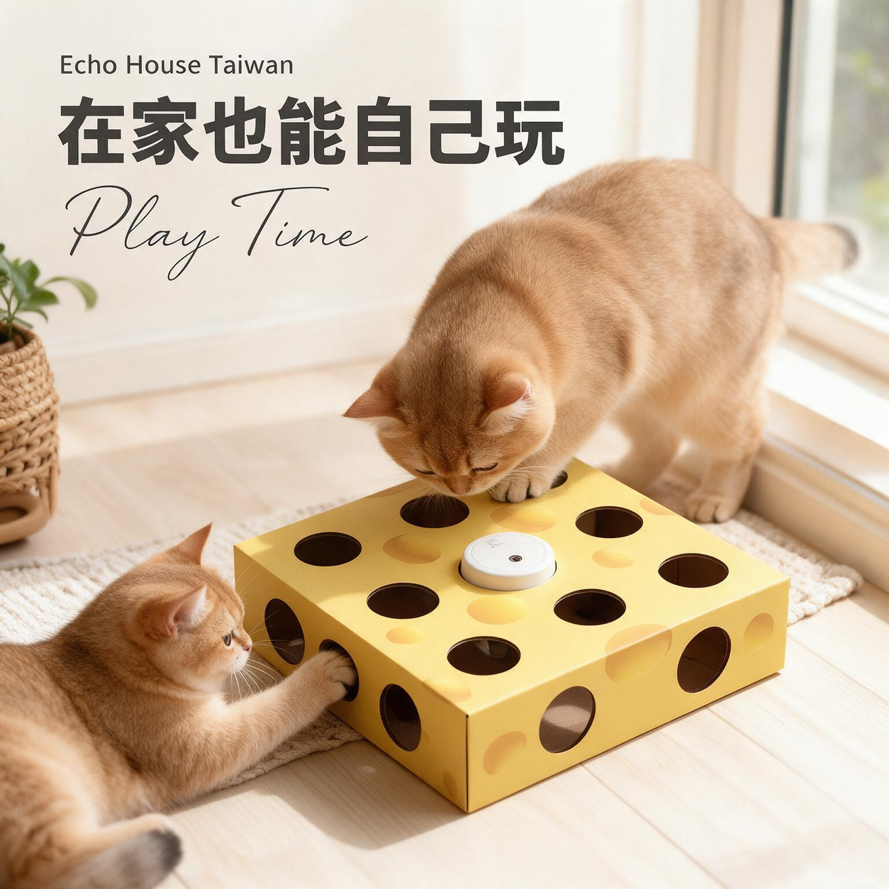 智能奶酪盒逗貓玩具：使用情境